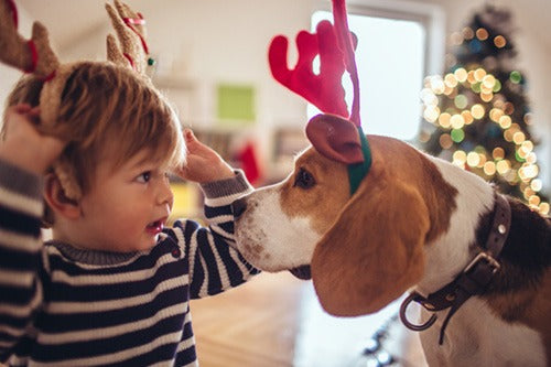 toddler facing dog both wearing toy hat reindeer antlers